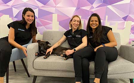 Seaport Smiles! - Boston's only Orthodontic and Craniofacial Clinic -  Gallery image